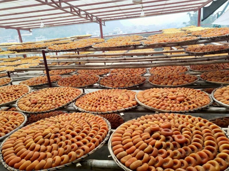 柿饼1~2两普通包装A级柿饼