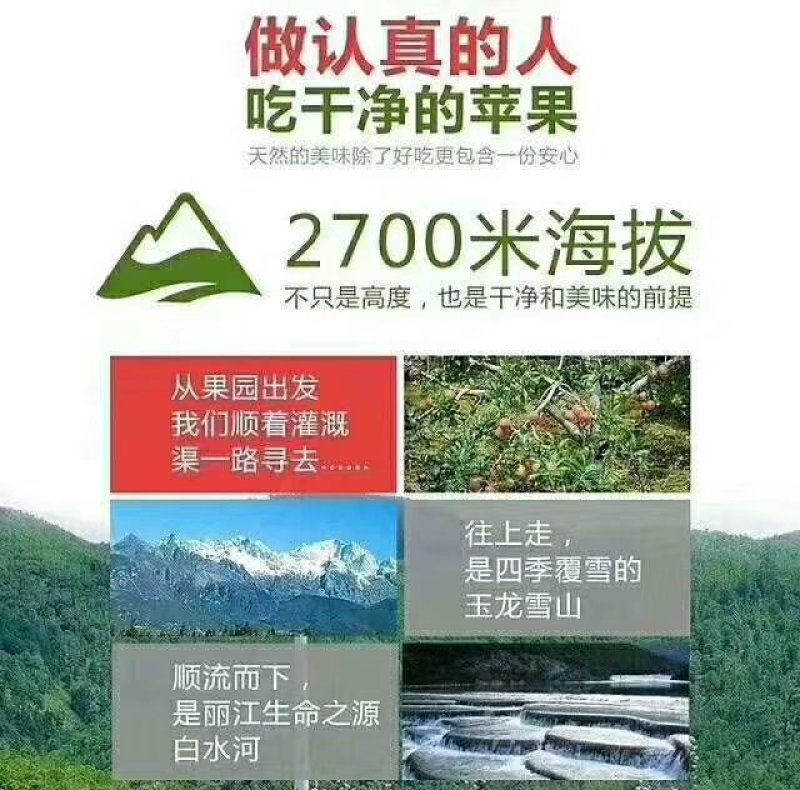 糖心苹果（小凉山丽江宁蒗丑苹果）