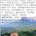 糖心苹果（小凉山丽江宁蒗丑苹果）