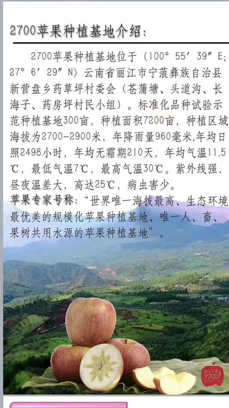 糖心苹果（小凉山丽江宁蒗丑苹果）