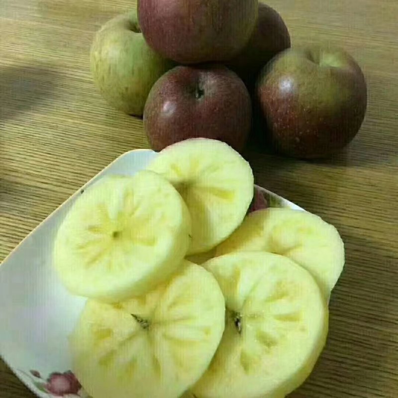 糖心苹果（小凉山丽江宁蒗丑苹果）