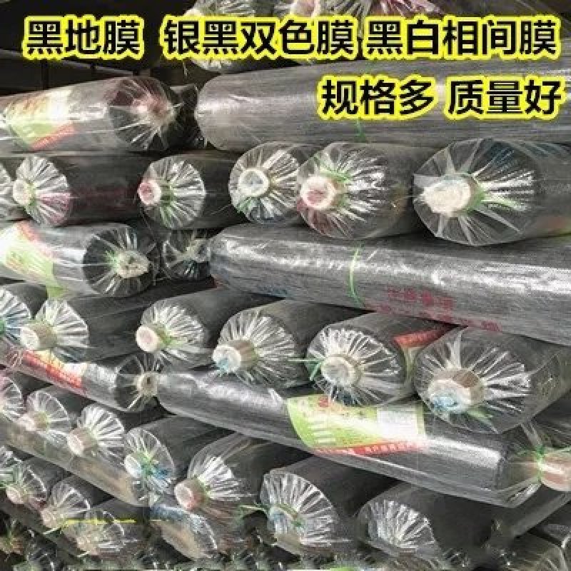银黑双色地膜加厚防水白膜黑膜反光地膜覆盖除草保湿塑料薄膜