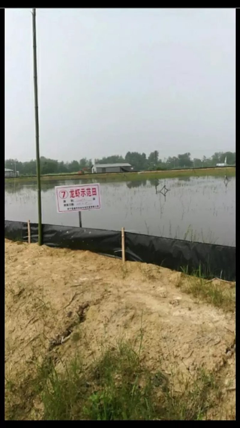包邮订做小龙虾螃蟹甲鱼养殖防逃膜池塘围板加厚