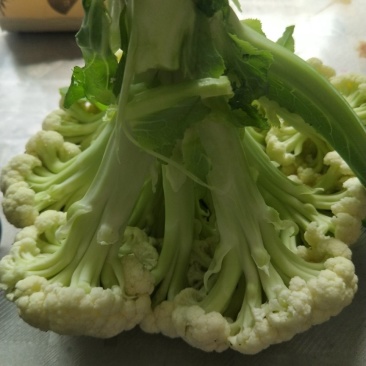 菜花