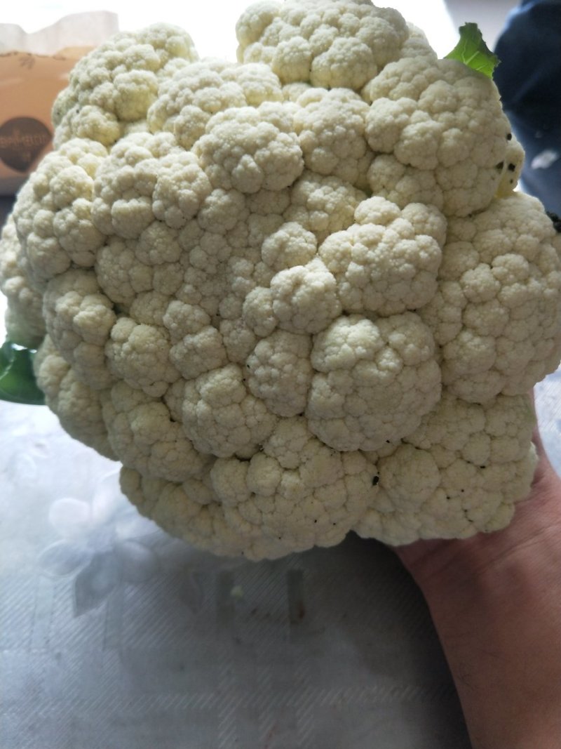菜花