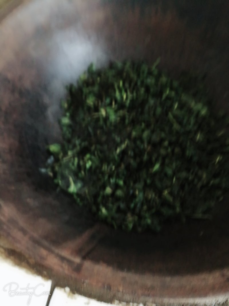 手工制作桑叶茶