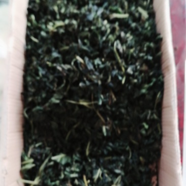 手工制作桑叶茶
