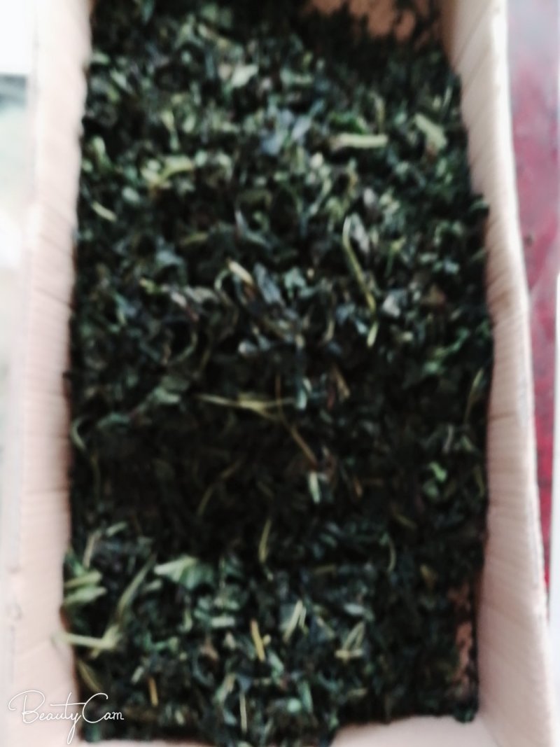 手工制作桑叶茶