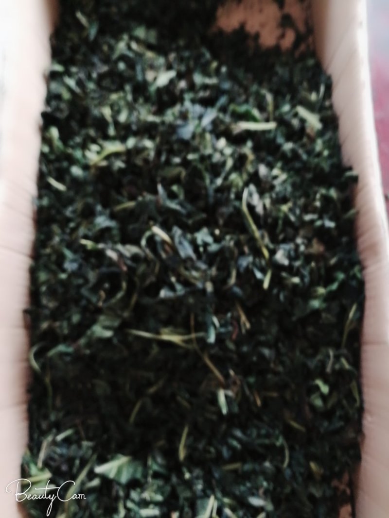 手工制作桑叶茶