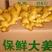 大黄姜，小黄姜产地直发，品质保障，量大价低欢迎采购