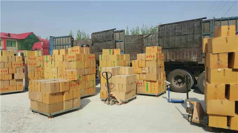 新疆红枣厂家直供一手货源大量批发，货源充足