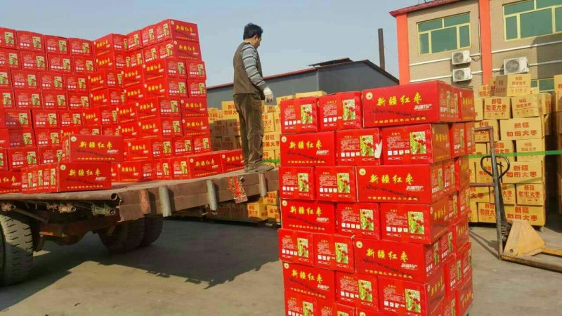 若羌红枣新疆灰枣厂家批发商量大价低优质货源