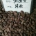 瓜蒌子药用