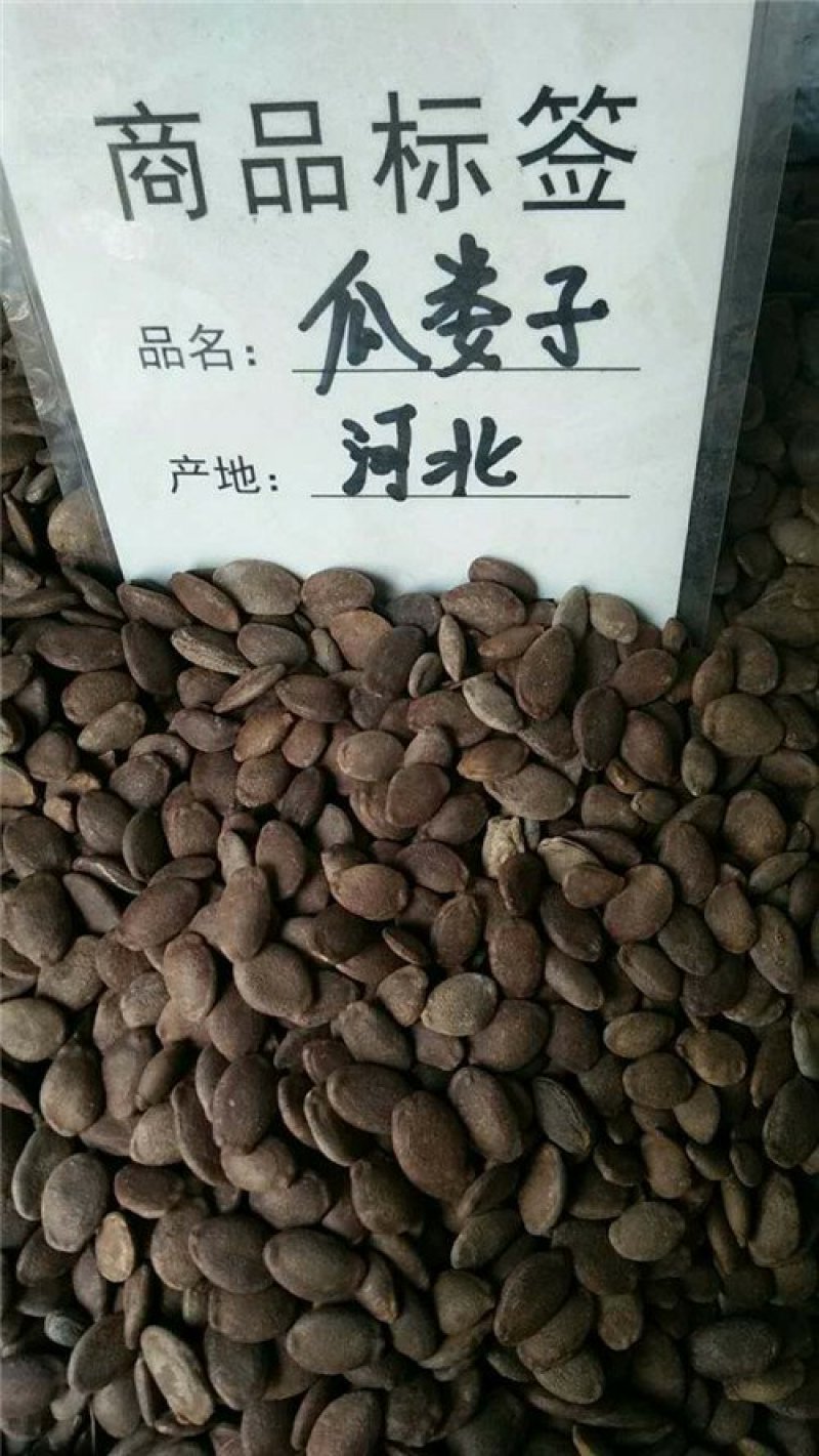 瓜蒌子药用