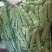 豇豆油豆