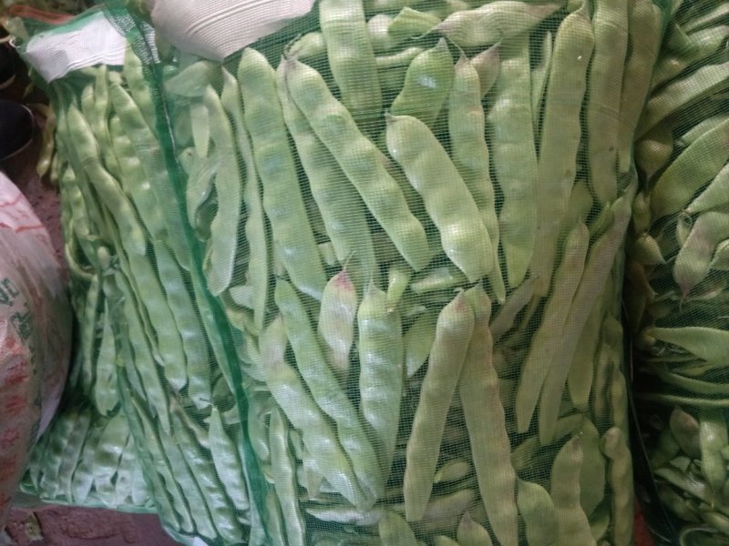 豇豆油豆