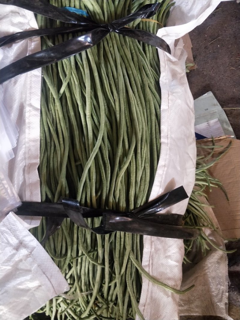 豇豆油豆