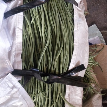 豇豆油豆