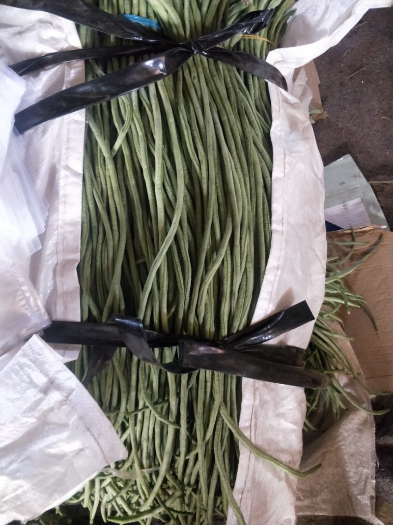 豇豆油豆