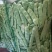 豇豆油豆