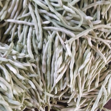 白豆角