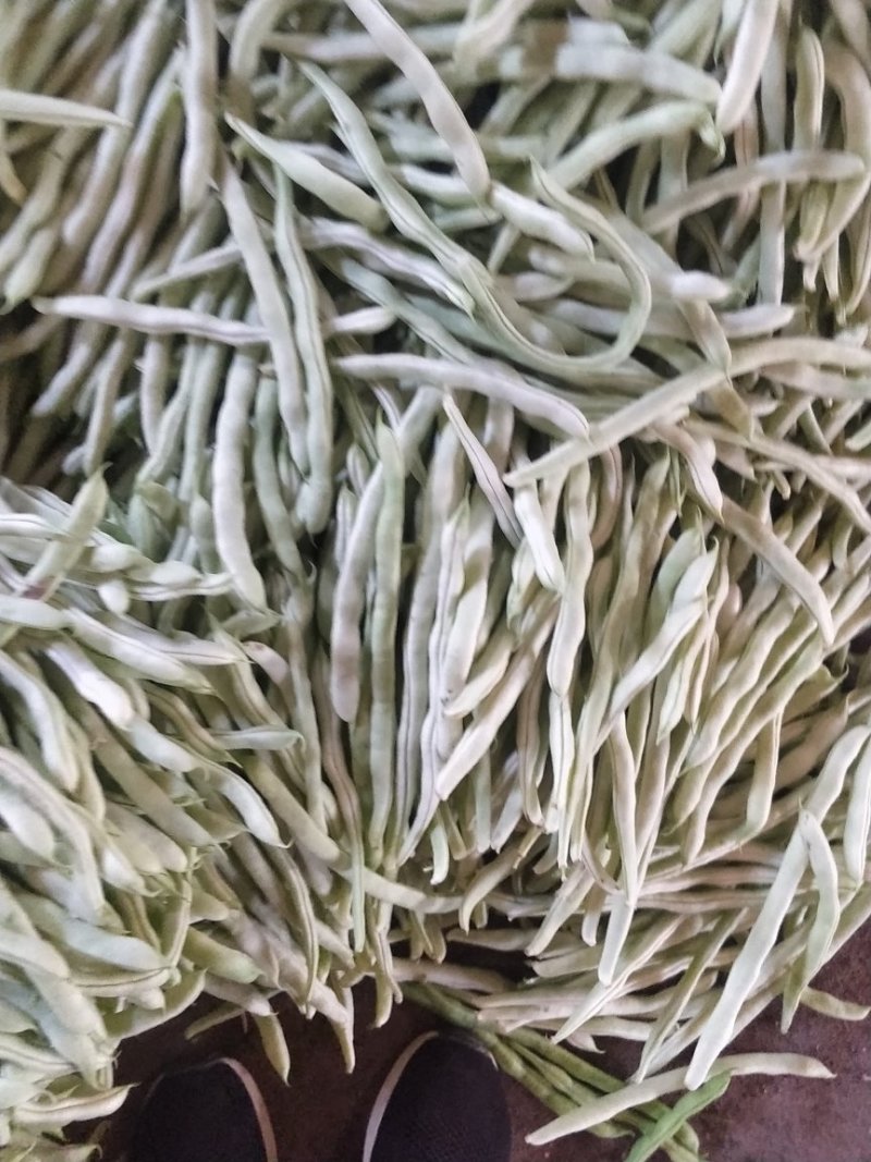 白豆角