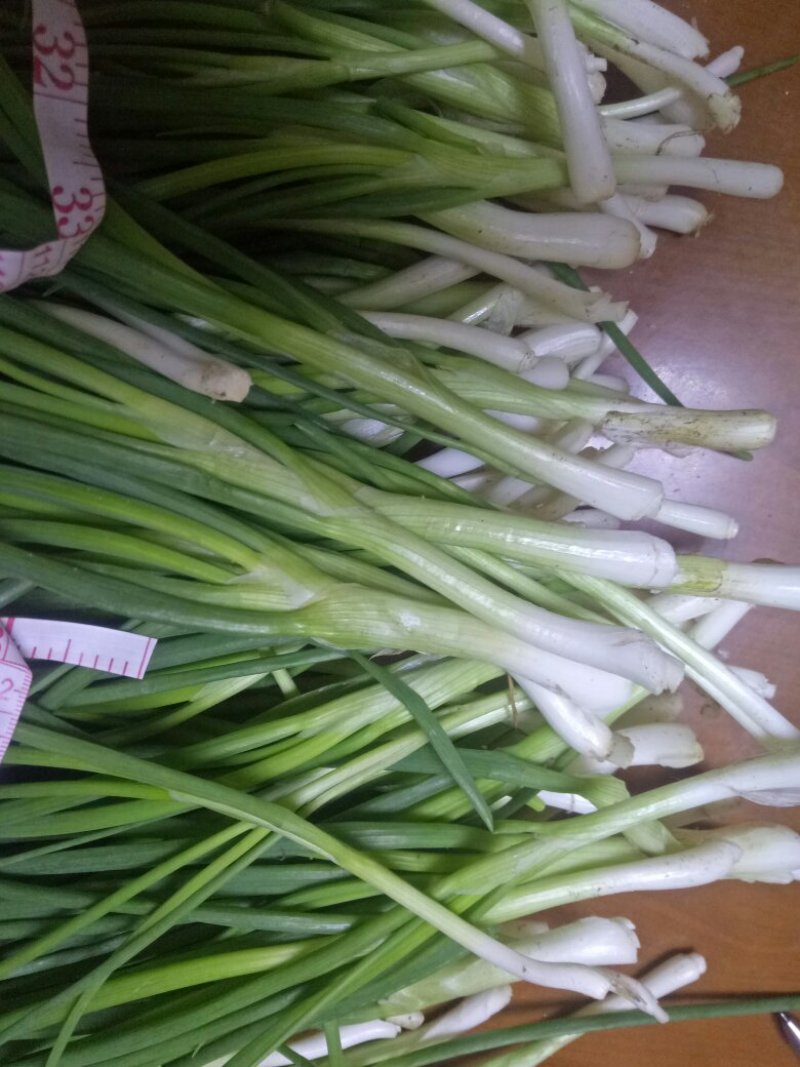 香葱小葱35~40cm