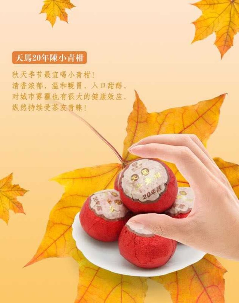 普洱