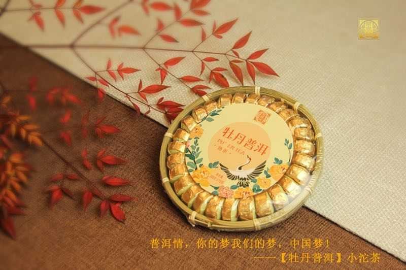普洱