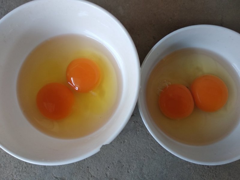 双色土鸡蛋新阳黑粉八黑花凤色度达到13°左右炒菜金黄