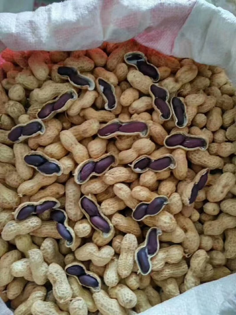 带壳黑花生黑花生，手拣果，