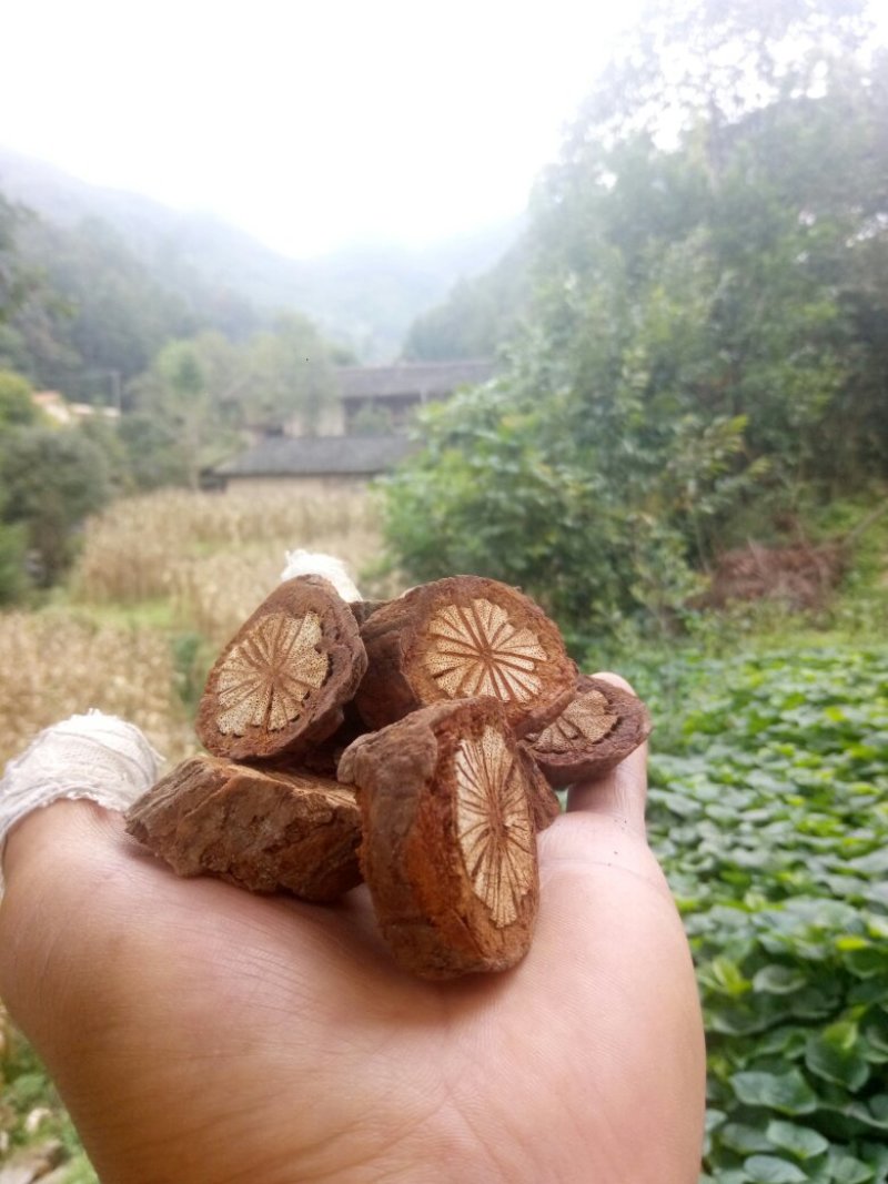 秦岭野生2斤大血藤又名红藤片红血藤特级野生地道中药材包邮