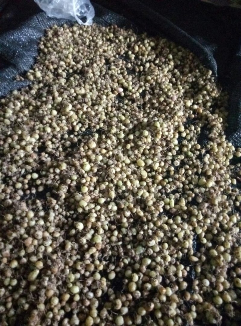 白鸡