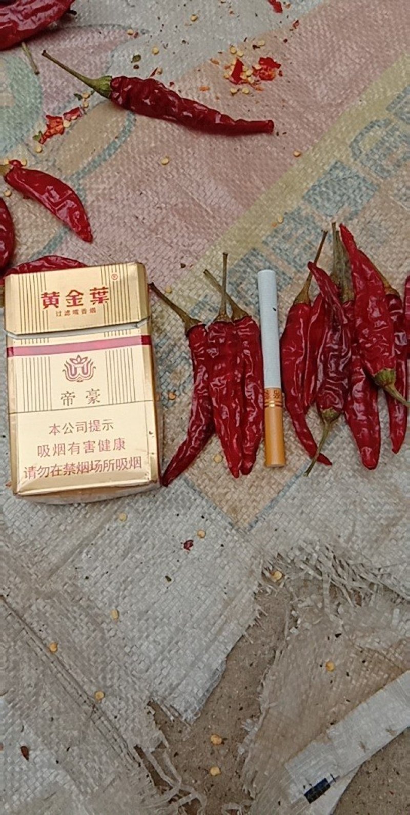 干辣椒