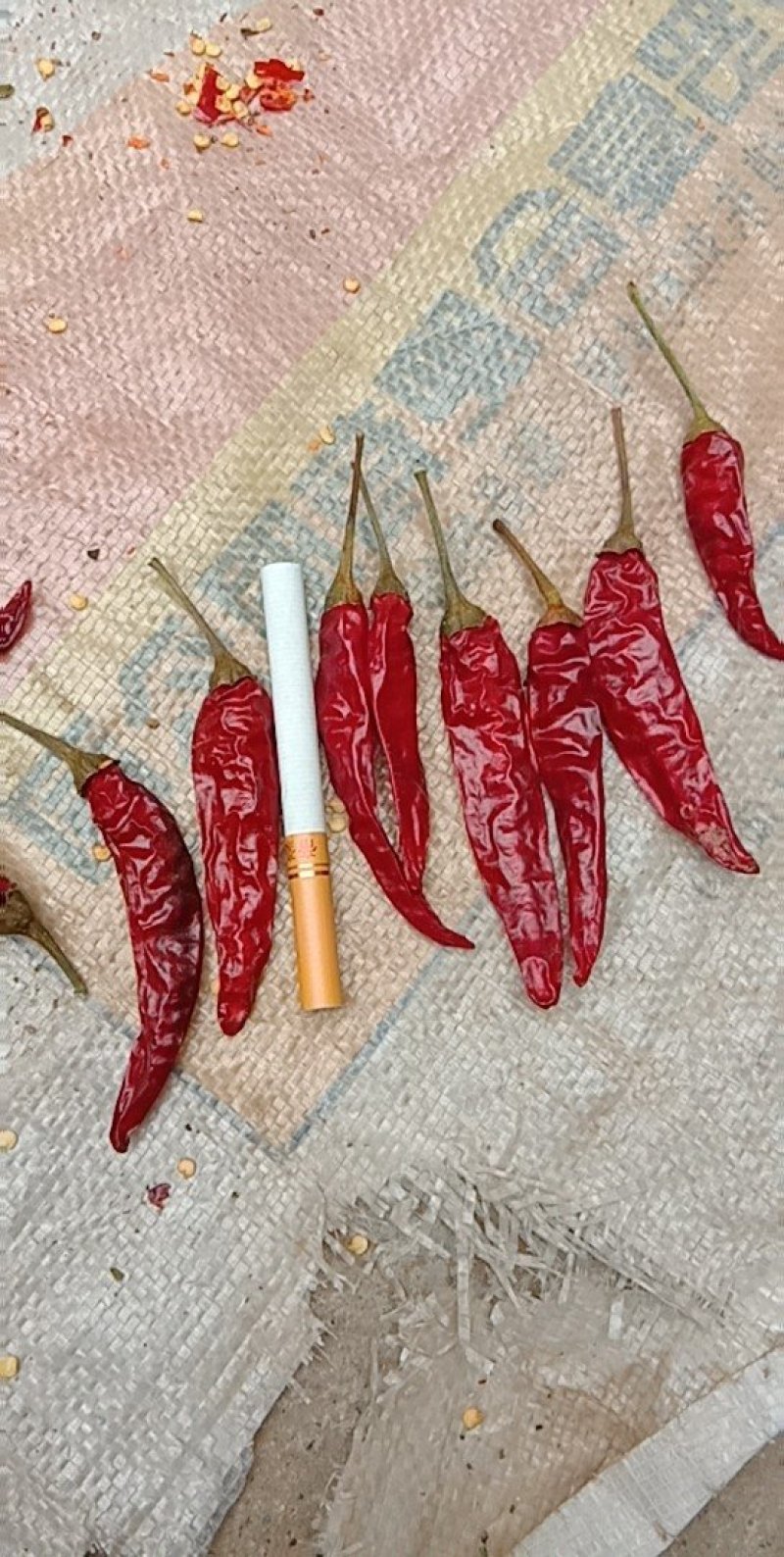 干辣椒