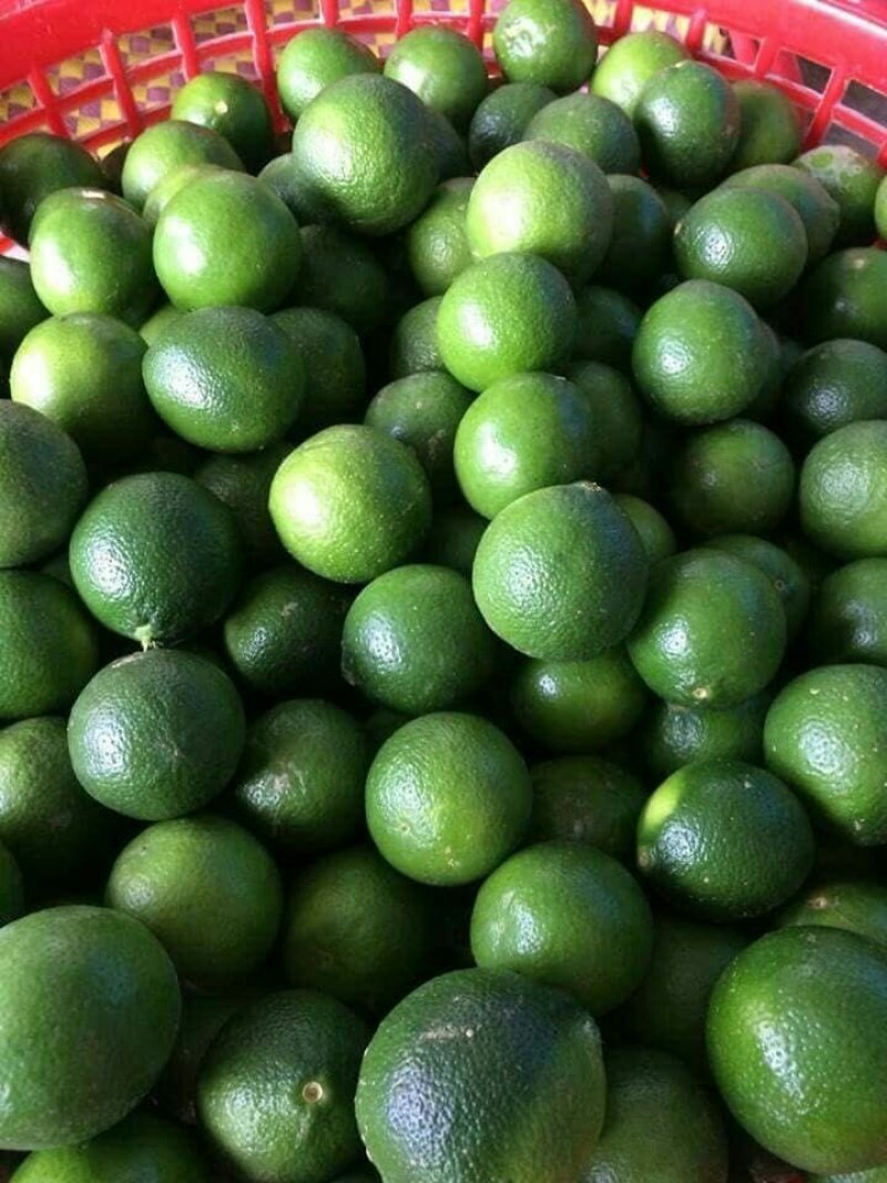 柠檬