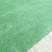 沙培果岭草混播黑麦草