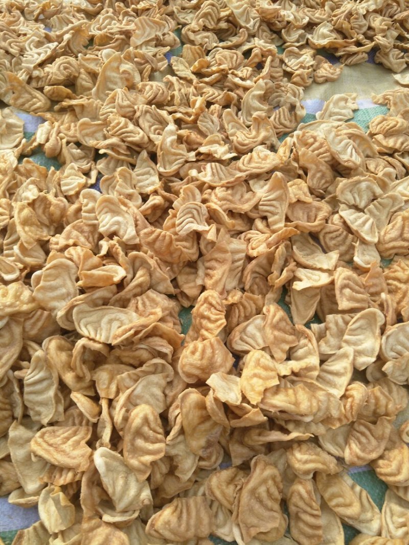 豆制品批发豆腐皮素鸡翅人造肉大豆耳
