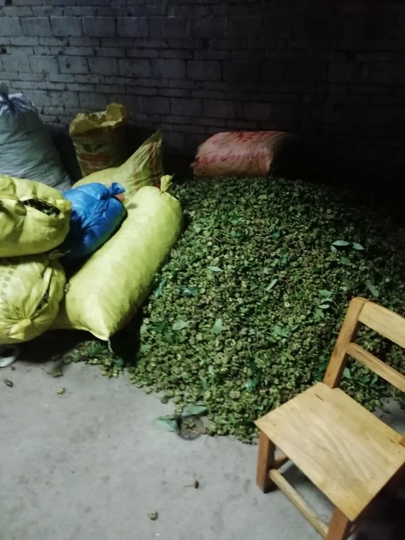 大红八角