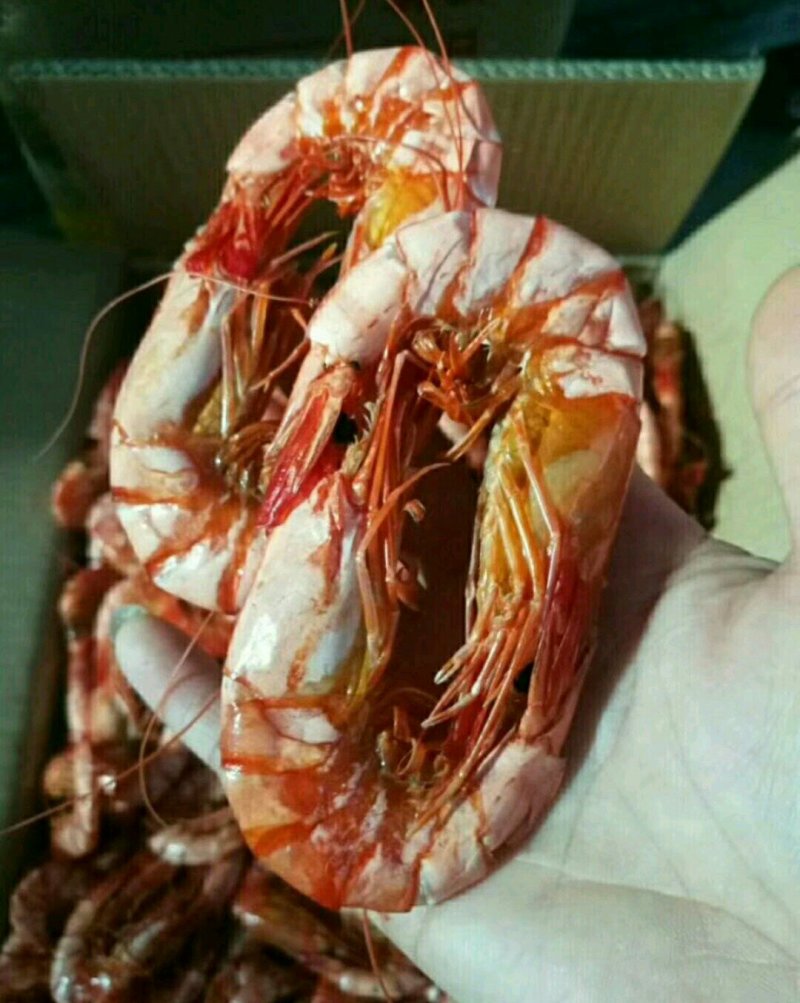 黑草虾对虾干烤虾干开袋即食50头到601斤
