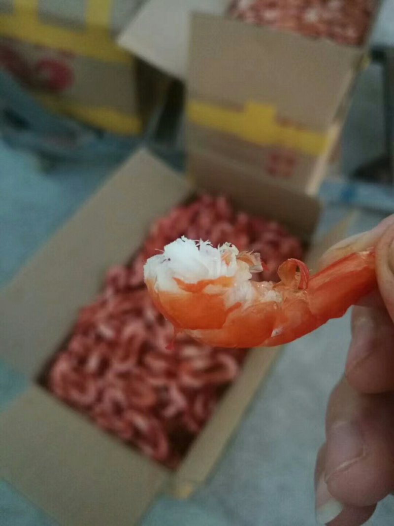 黑草虾对虾干天然晒干烤虾干开袋即食