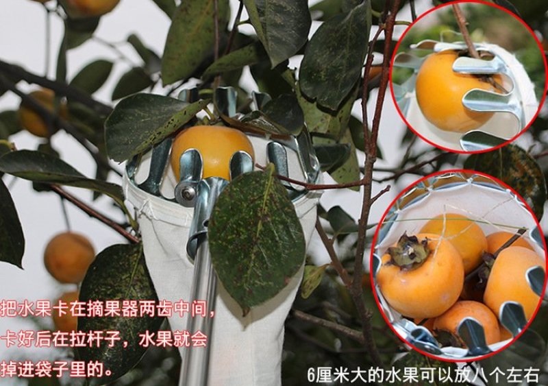 摘果器2一7米伸缩杆〈包邮〉