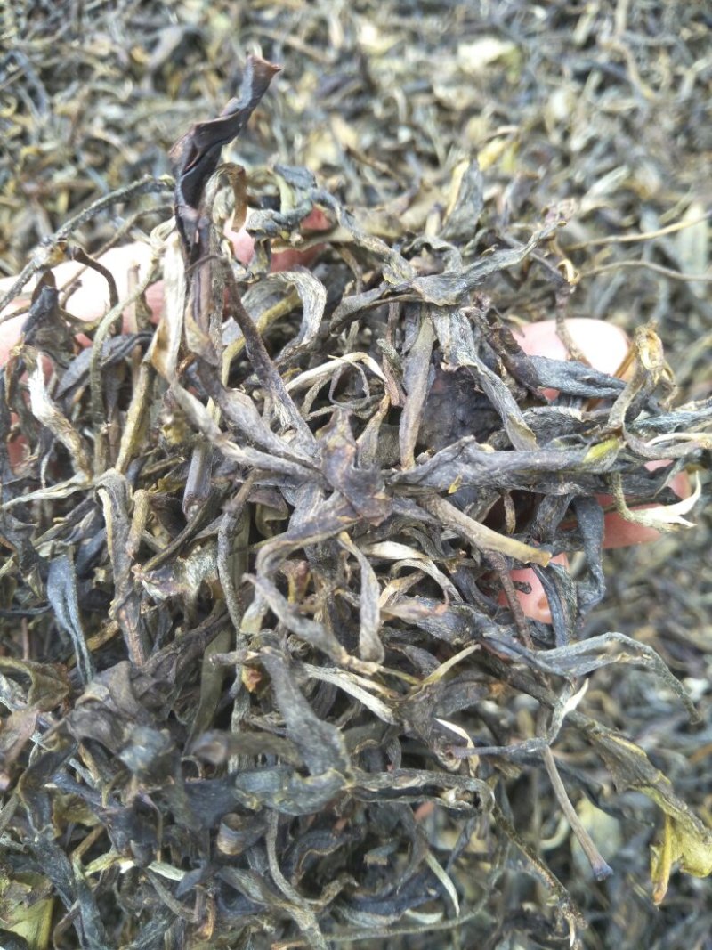 云南凤庆纯手工凤庆滇红茶