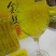 金丝皇菊茶