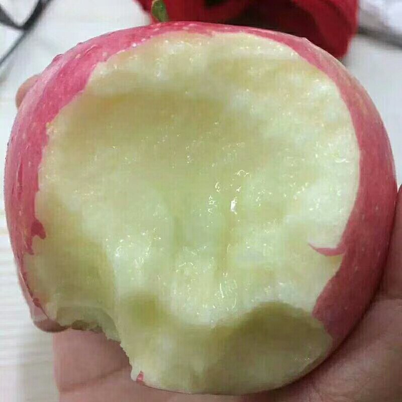 脆甜红富士苹果