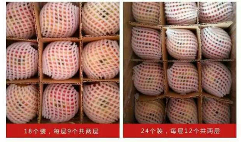 陕西红富士苹果，纸袋特价10斤包邮
