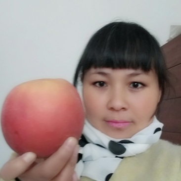 陕西红富士苹果,纸袋特价10斤包邮