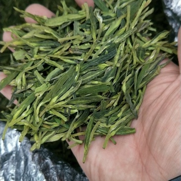 龙井茶