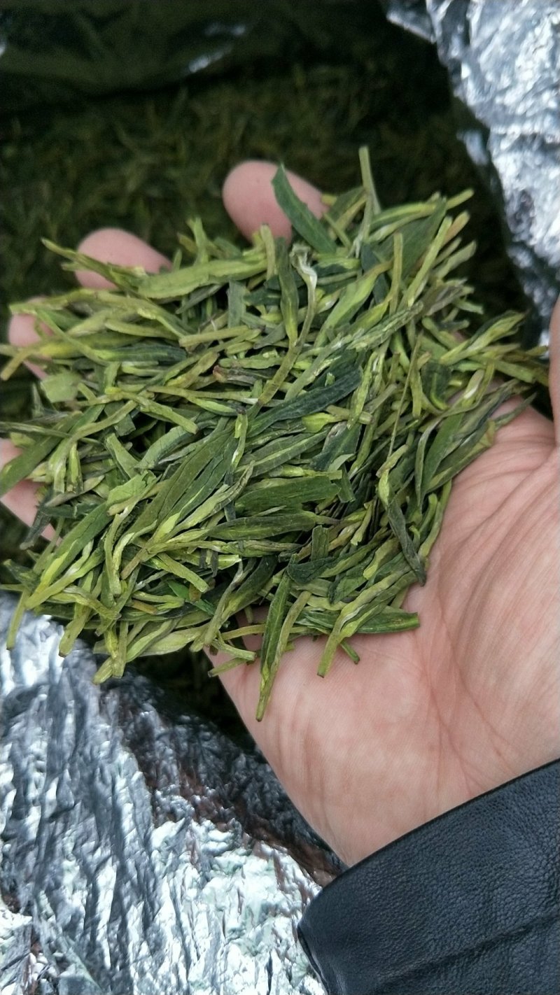 龙井茶