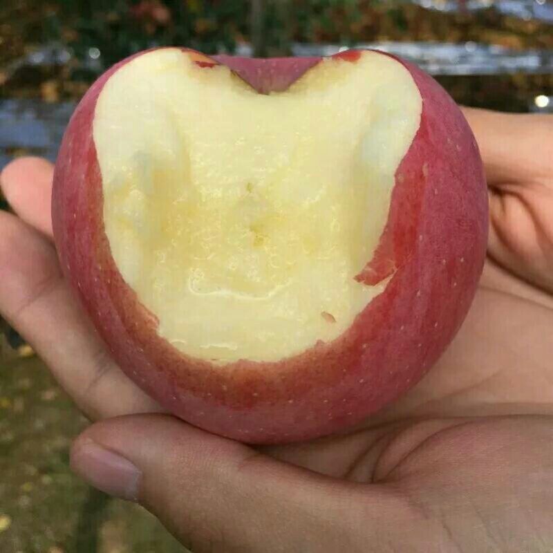 红富士苹果纸袋